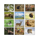 Wildlife Wall Calendars - Stapled (Q232011)