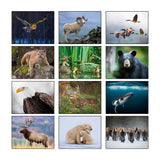 Wildlife Wall Calendars - Stapled (Q232011)
