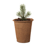Modern Sprout® One For One Tree Kits (Q236332)