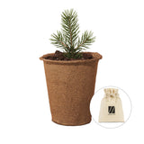 Modern Sprout® One For One Tree Kits  Imprinted with Logo (Q236332)
