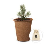 Modern Sprout® One For One Tree Kits  Imprinted with Logo (Q236332)