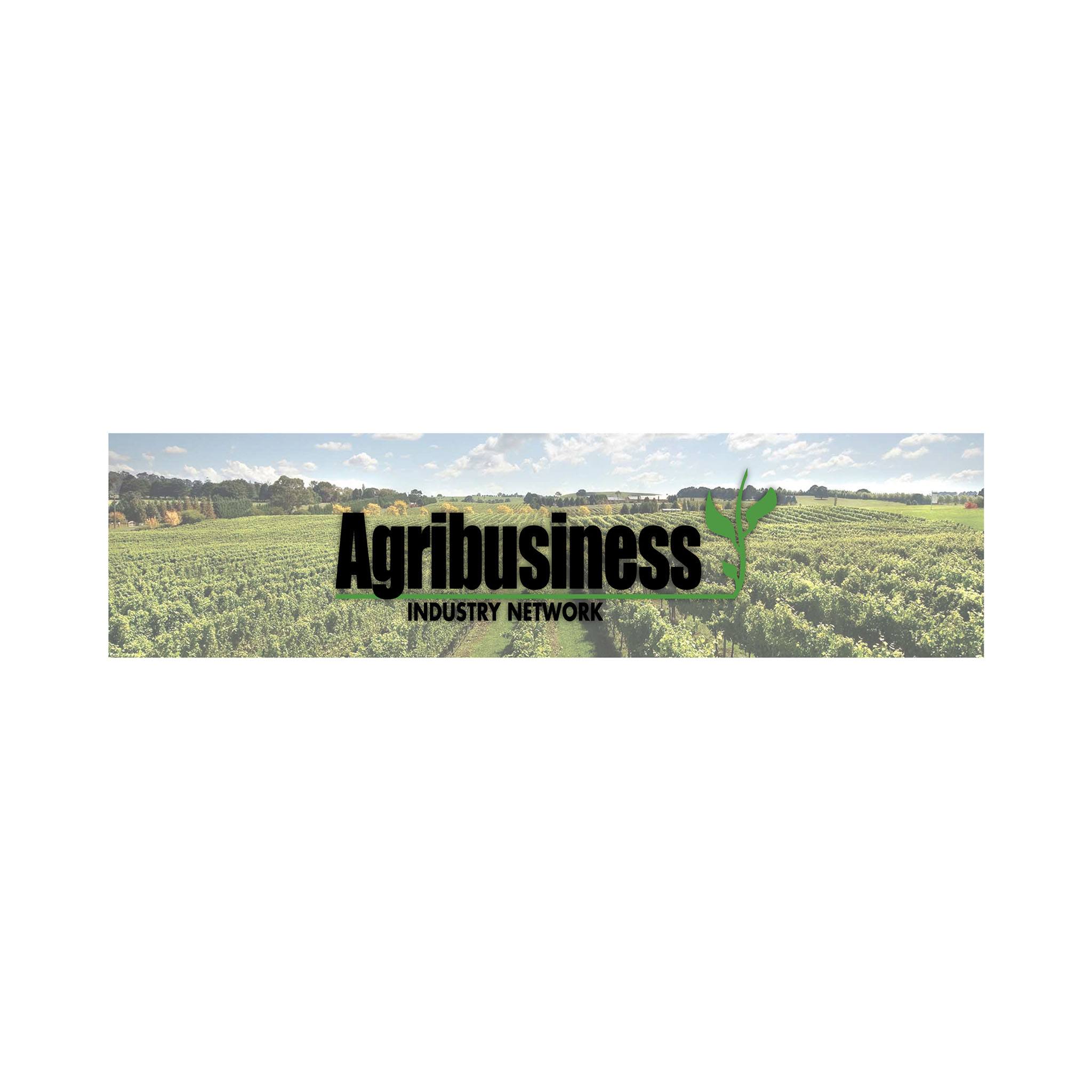 15"W X 3.75"H Rectangle Window Or Bumper Stickers (Q244711)