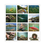 Fishing - Stapled Calendar (Q245722)