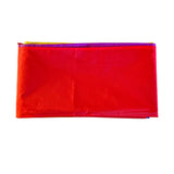 Rainbow Body Flag (Q257822)