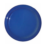 Sun Fun Value Flyers (9 inch ) (Q274411)