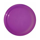 Sun Fun Value Flyers (9 inch ) (Q274411)