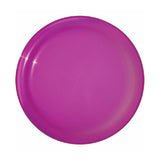 Sun Fun Value Flyers (9 inch ) (Q274411)