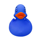 Color Changing Duck (Q277822)