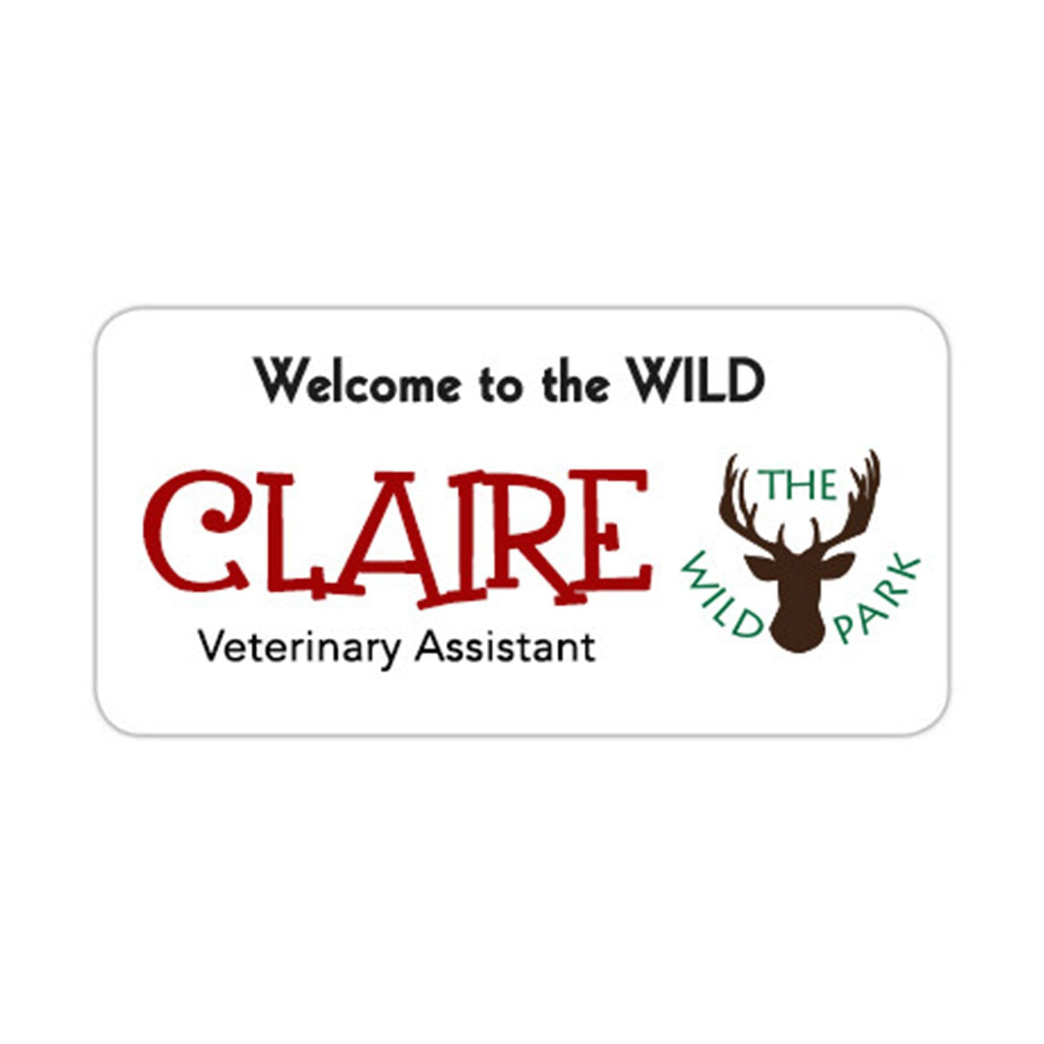 Plastic St. Paul Name Badges (.06" ) (Q279311)