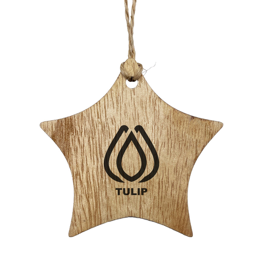 3 Inch Wood Ornament - Star (Q281332)