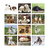 Puppies Calendar (Q284722)