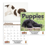 Puppies Calendar (Q284722)
