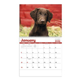Puppies Calendar (Q284722)