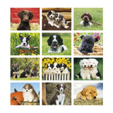Puppies Calendar (Q284722)