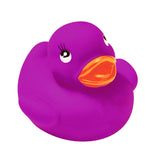 Colorful Duck (Q292122)