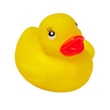 Colorful Duck (Q292122)