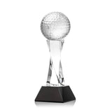 The Game Ball Award (Q298532)