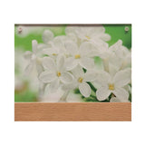 6 x 4 Wood And Acrylic Frame (Q344922)