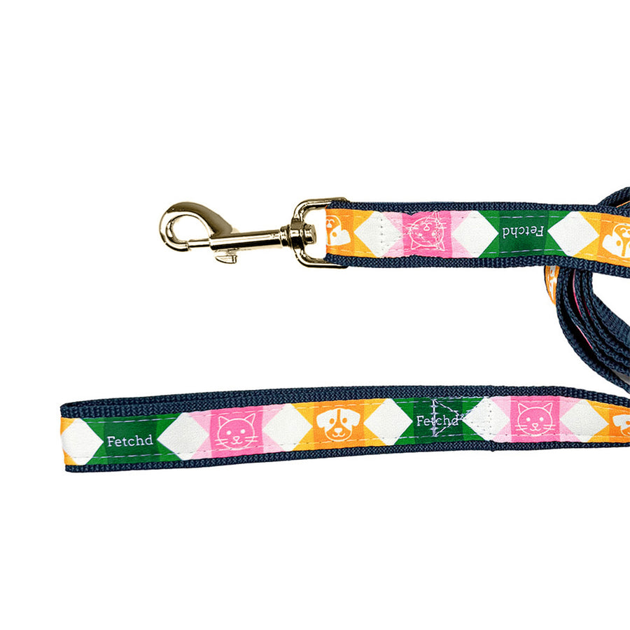 1 x 48 Inch Heavy Duty Pet Leash With Gold-Colored Hardware (Q354632)