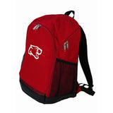 The Large Padded Back Multi Pocket Hikers Backpack (Q356422)