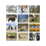 Great Lakes Sportsman Calendar (Q364722)