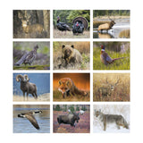 Great Lakes Sportsman Calendar (Q364722)