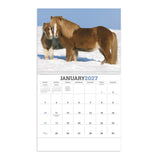 Horses Calendar (Q365722)