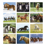 Horses Calendar (Q365722)