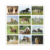 Horses Calendar (Q365722)