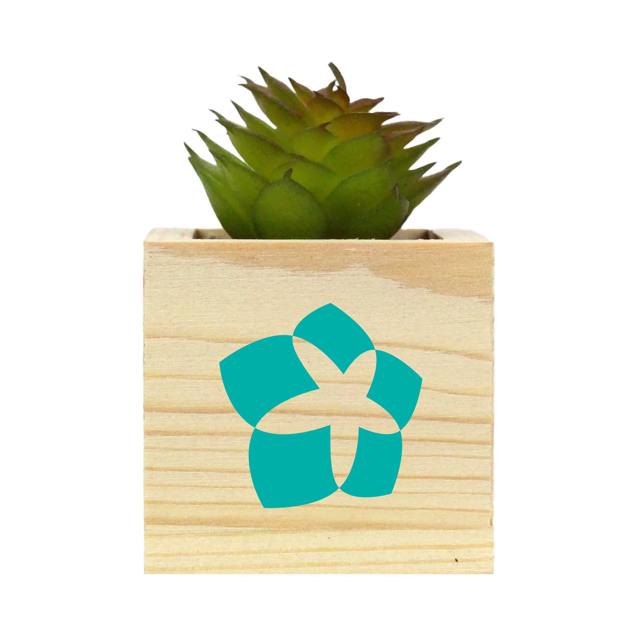 Wooden Planter with Artificial Succulent (Q374532)
