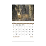 Wildlife Portraits - Stapled Calendar (Q374722)
