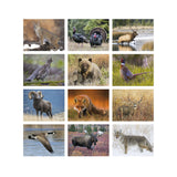 Wildlife Portraits - Stapled Calendar (Q374722)