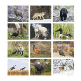 Wildlife Portraits - Stapled Calendar (Q374722)