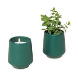 Modern Sprout® Rooted Candle - Dark Teal/Thyme (Q376332)