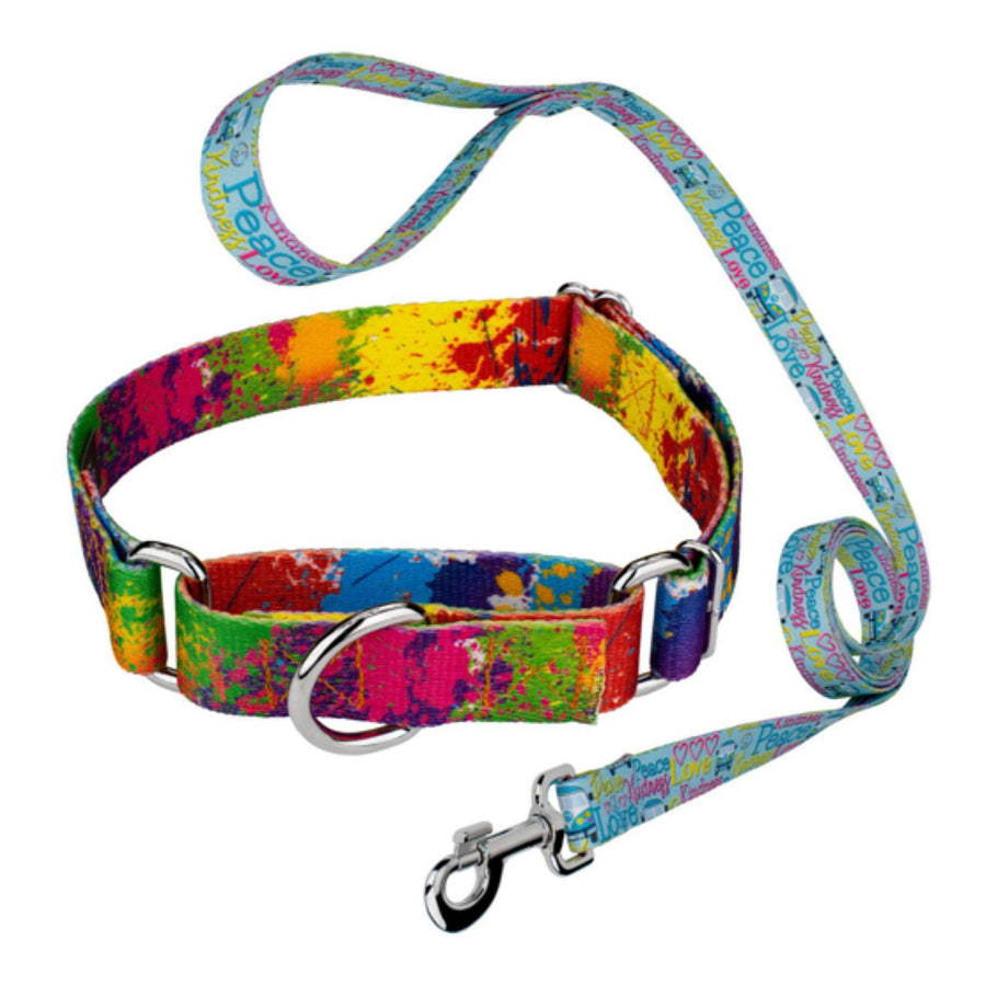Dog Leash With Adjustable Collar & Carabiner (Q383532)