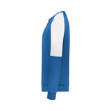 Holloway Momentum Team Fleece Sweatshirt (Q395222)