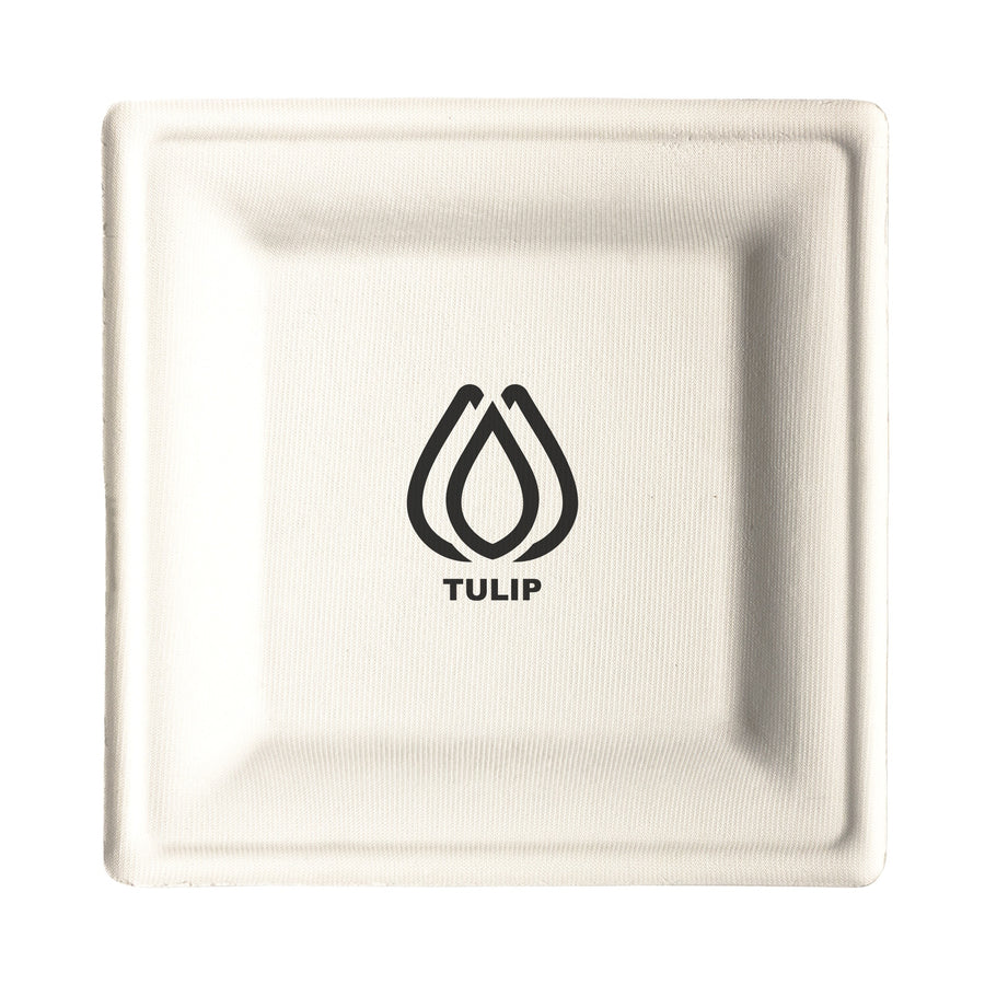 10 Inch Square Compostable Paper Plate Bagasse (Q407332)