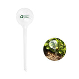 Evergreen Self-Watering Globe  Imprinted with Logo (Q428022)