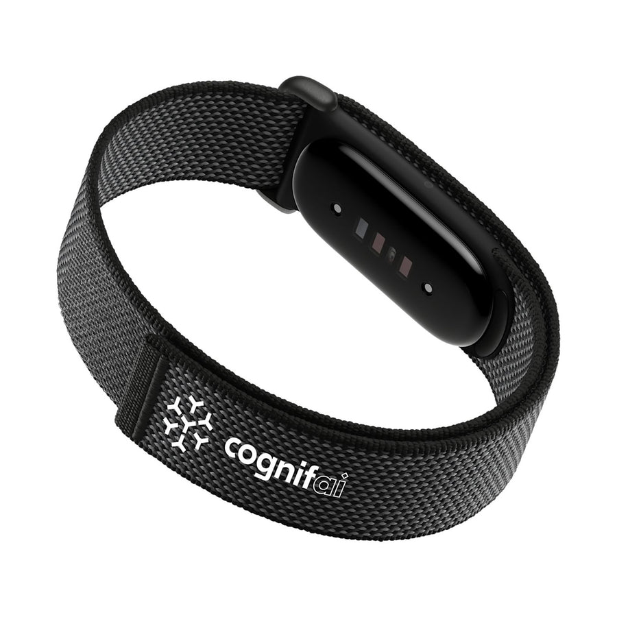 Google Fitbit Air (Q443632)