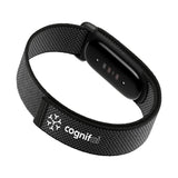 Google Fitbit Air (Q443632)