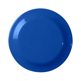 Large Discus (Q451122)