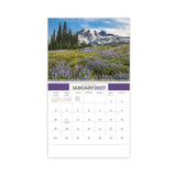 American Splendor Calendar (Q454722)