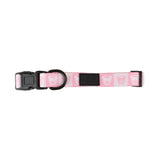 Dog Collar With Neoprene Backing - Extra Small (Q468822)