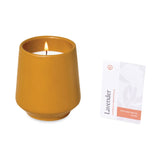 Modern Sprout® Rooted Candle - Mustard/Lavender (Q476332)