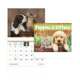 Puppies & Kittens Calendars - Stapled (Q476622)