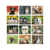 Puppies & Kittens Calendars - Stapled (Q476622)