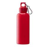 Brio 20 oz. PS Water Bottle With Carabiner (Q480111)