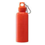 Brio 20 oz. PS Water Bottle With Carabiner (Q480111)