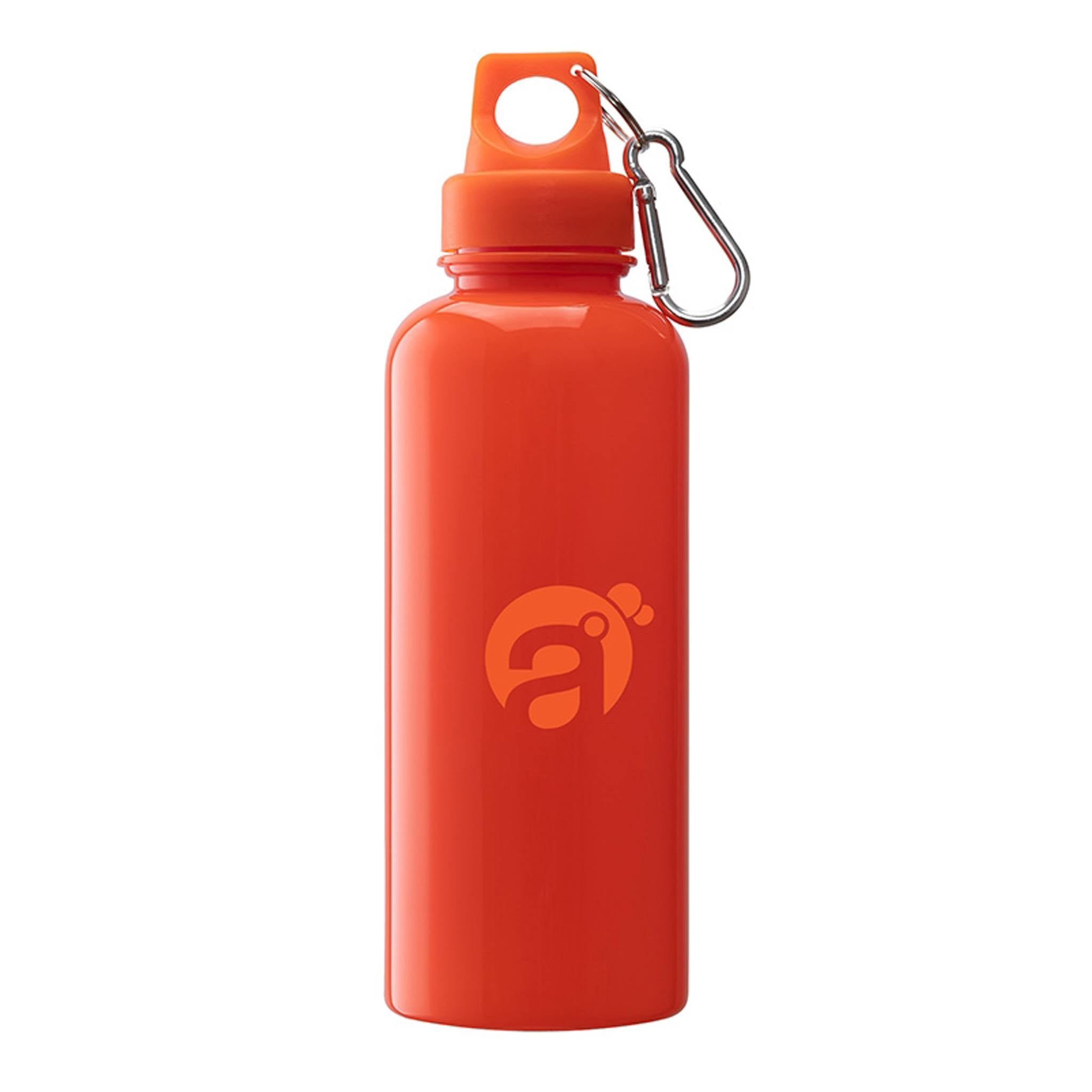 Brio 20 oz. PS Water Bottle With Carabiner  Imprinted with Logo (Q480111)