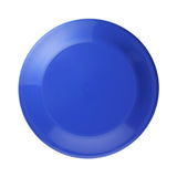 9.25 Inch Flyer (Q493422)